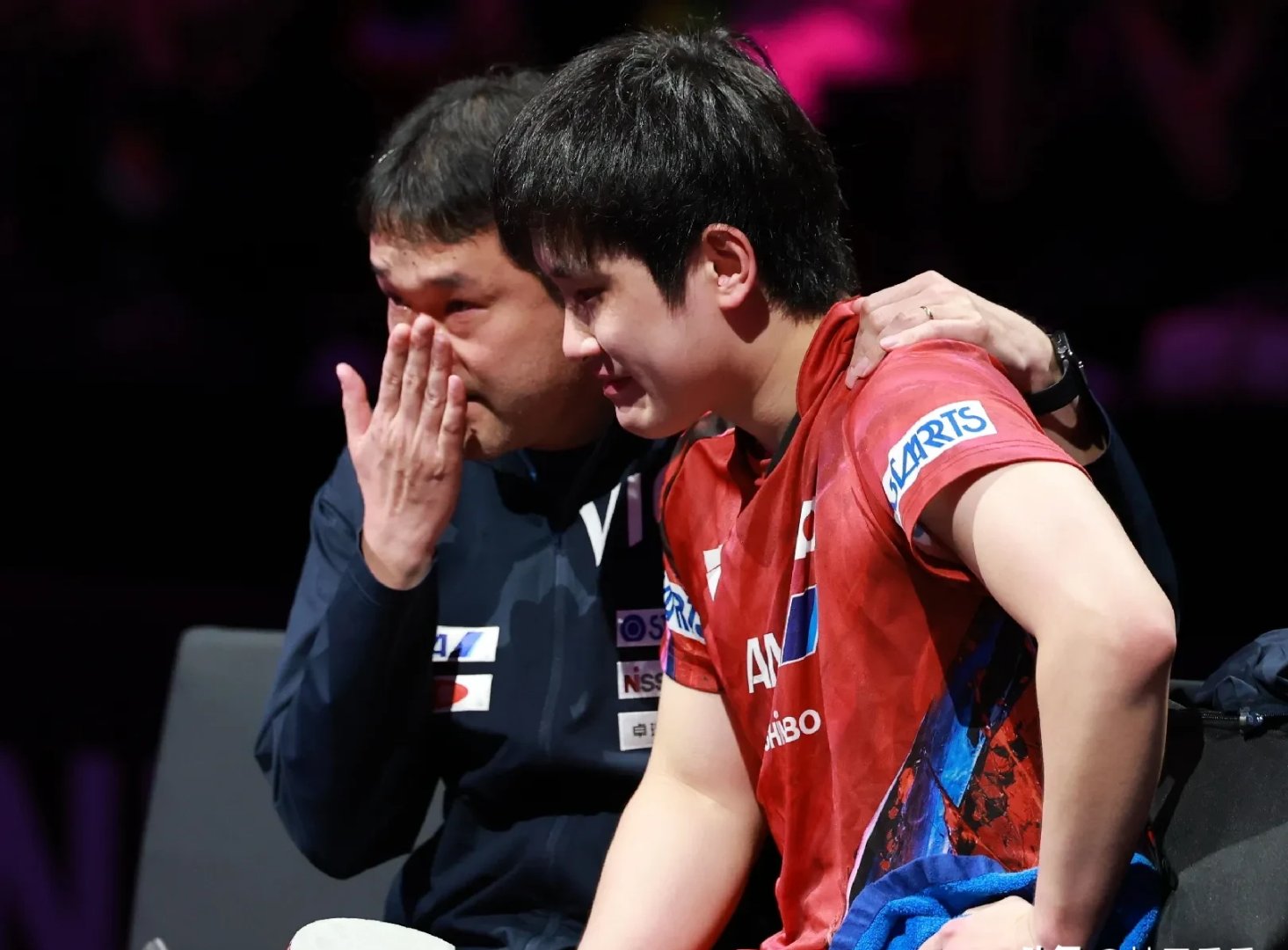 包含瑞典队力克波兰队，张本智和扛起全队的词条