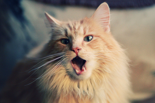 开云体育-奥兰多逆袭之夜，魔术布阵锁死字母哥，铁血防守颠覆东决格局