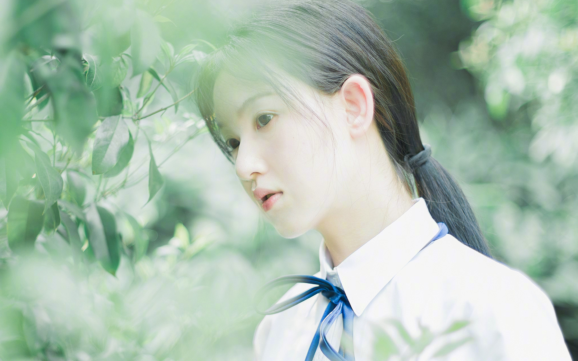 绿茵与硬木的对话，欧冠淘汰赛夜上演篮球传奇