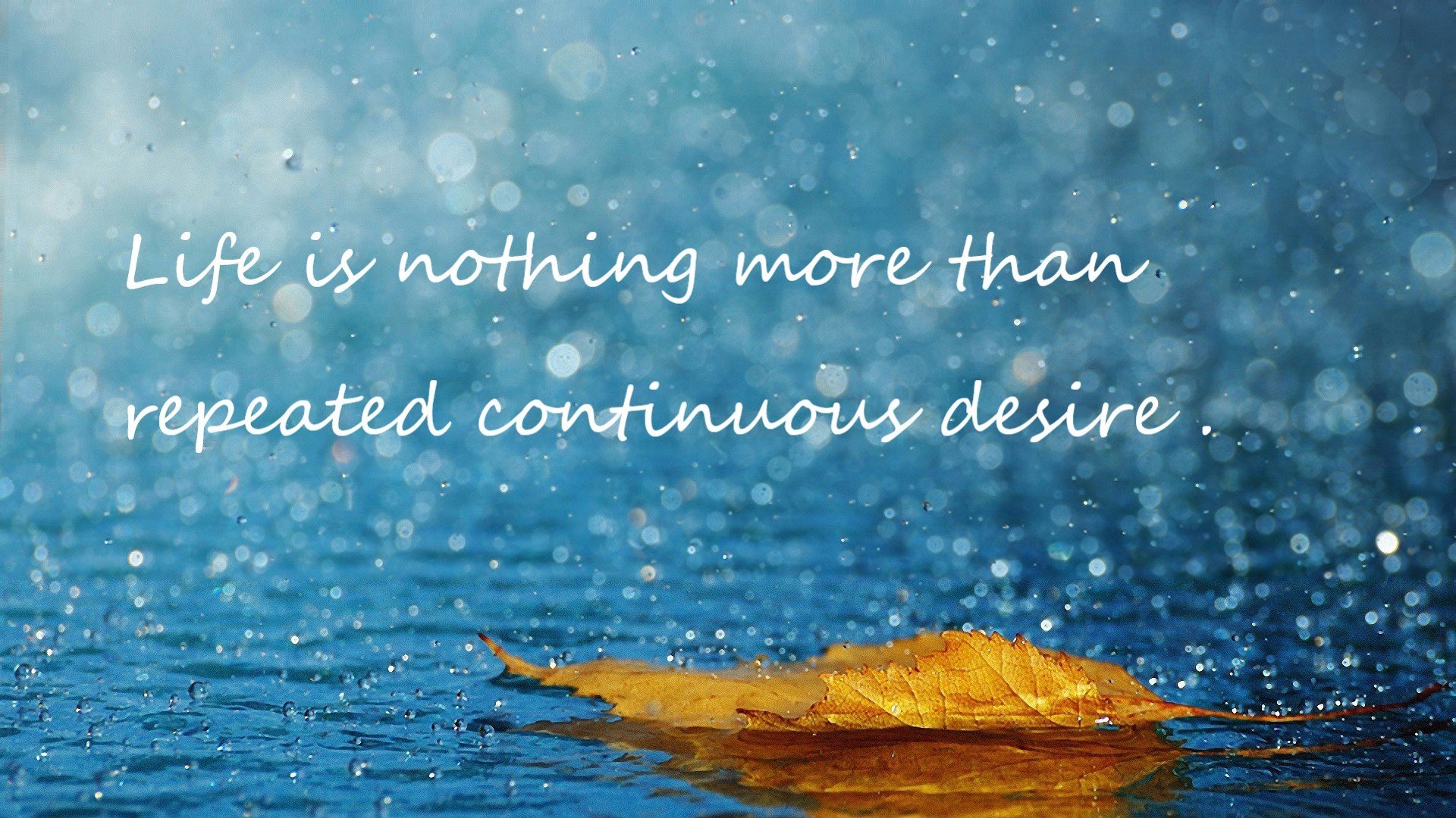 开云体育官网-胜负分岔路，当内马尔用脚尖写诗，波兰用纪律改写结局