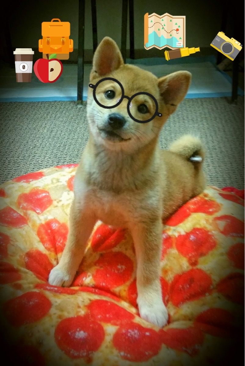 冠军基因,当篮网打穿新疆,范弗利特在德甲接管战场—跨越体育的终极领导力法则