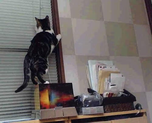 双星闪耀,佩德里用才华击穿密防,塞内加尔以铁链锁死C罗