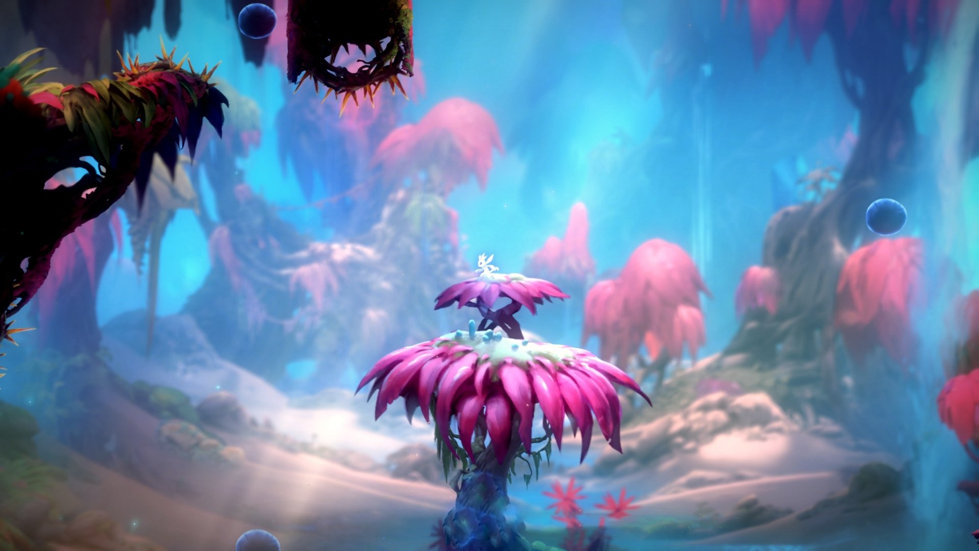 开云体育平台APP-跨国硬仗，阿坎吉爆发难救主，马德里竞技秘鲁客场险胜