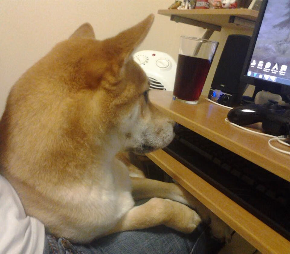 开云体育入口-极速赛道上的篮球硝烟，当F1争冠悬念碰撞韩国刹车区力克安哥拉