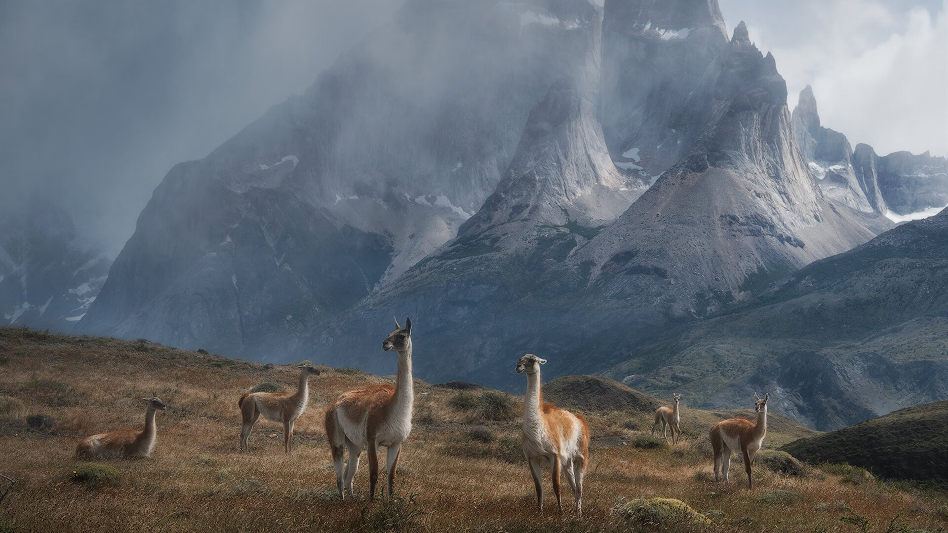 开云体育入口-戈贝尔爆发筑起禁飞区，凯尔特人如国际象棋大师踏平深圳队战术体系