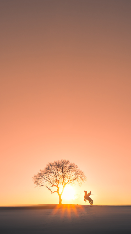 当药厂基因注入国家德比，布雷默的爆发与勒沃库森式的一波流带走荷兰