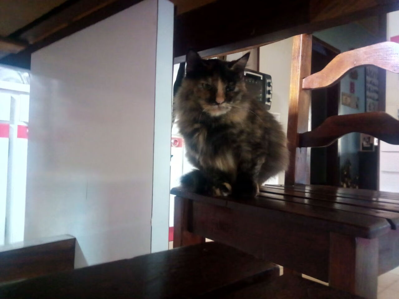 开云体育中国-罗马城墙下的桑巴魔法，当罗德里戈将防守艺术踩于脚下