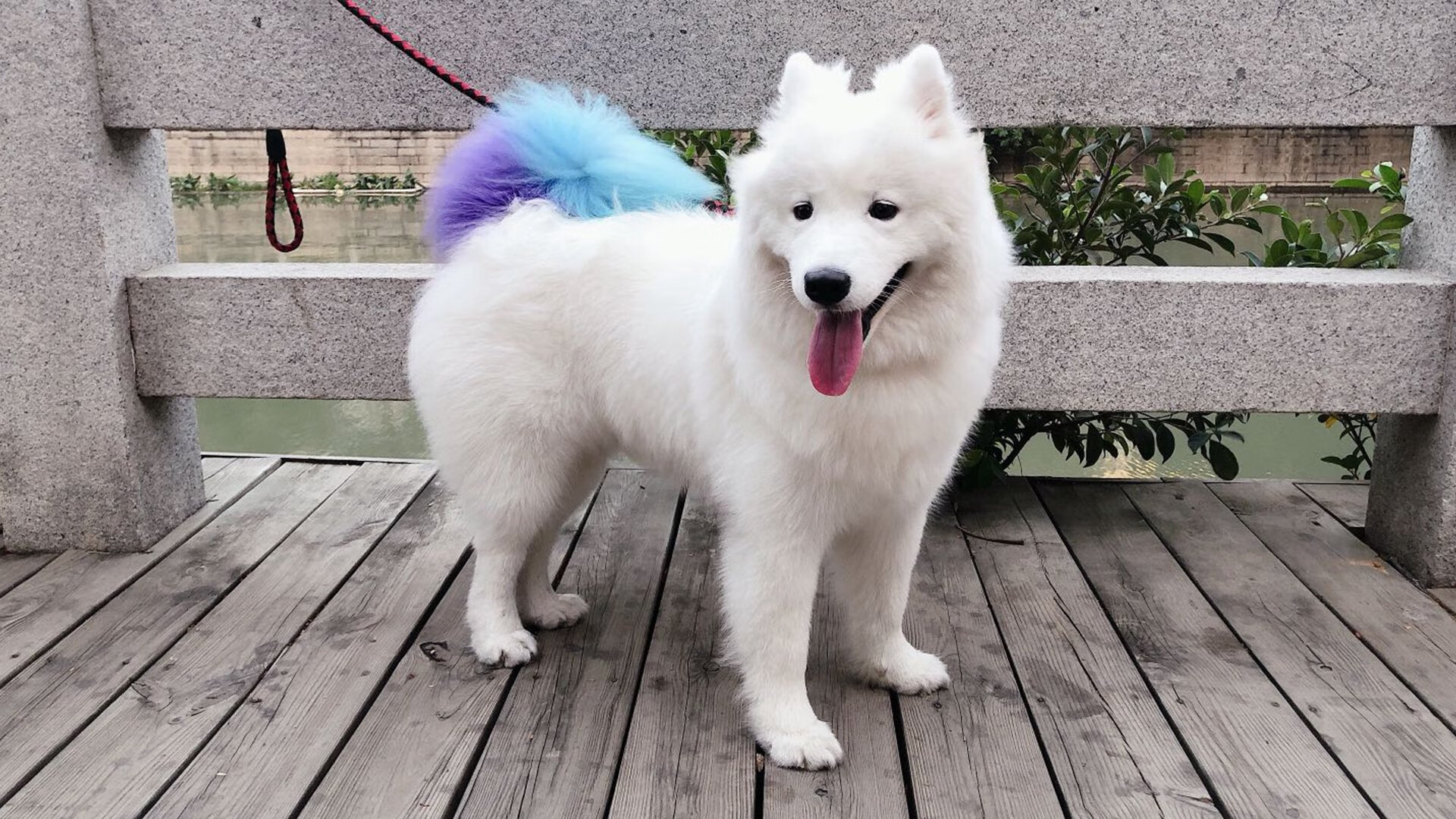 开云体育在线-双线争锋，永不落幕的意志角斗场