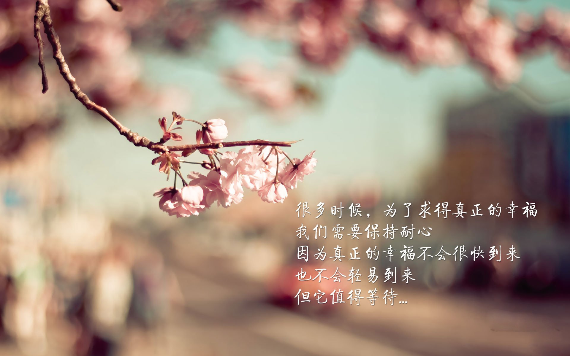 冰与火的唯一解,当碾压遇见神迹,布罗佐维奇在G组生死战中刺穿北欧寂静