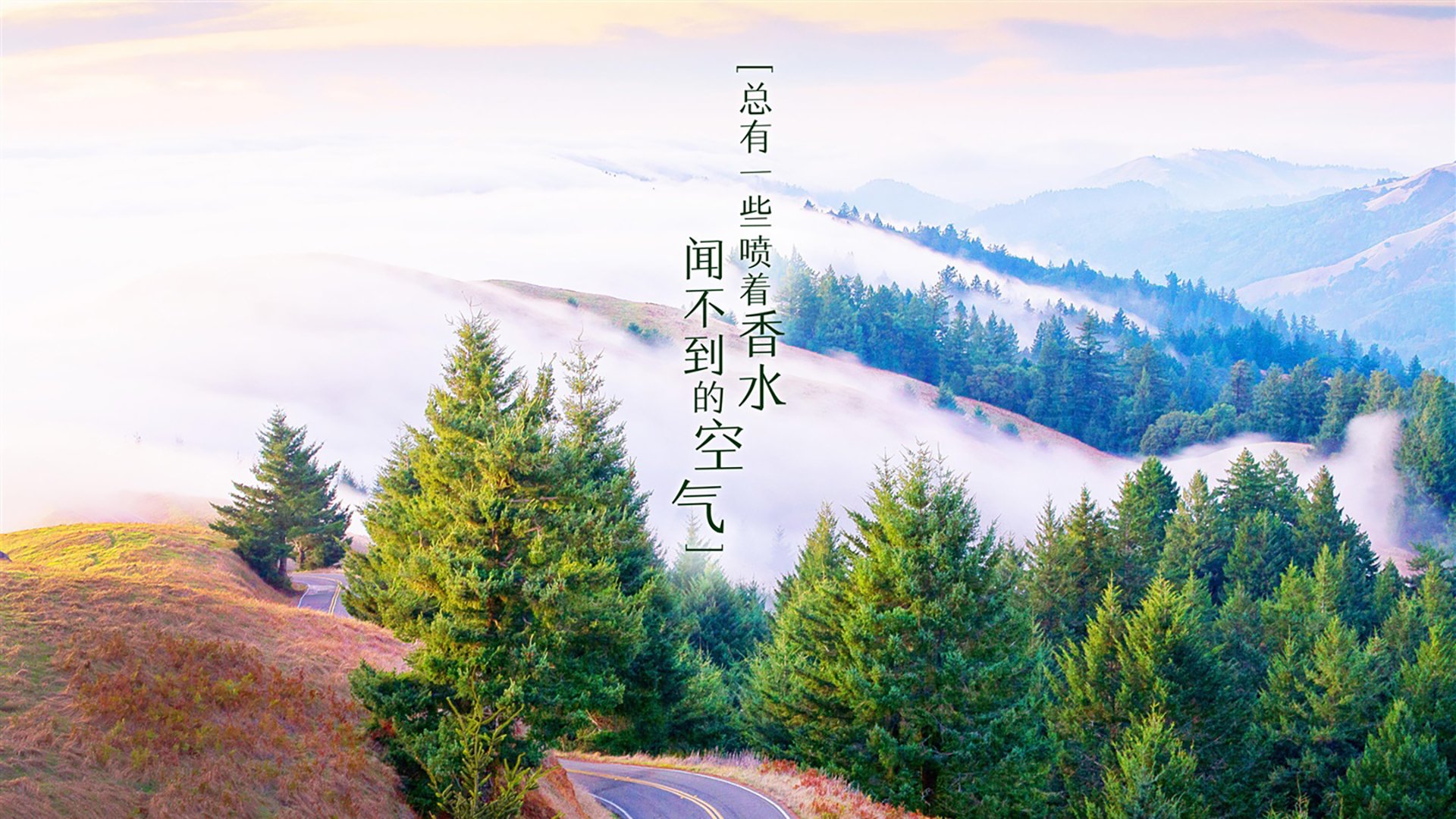 开云sport-一场颠覆性胜利，2026世界杯H组关键战，韩国碾压意大利，坎塞洛引领攻守转换新美学