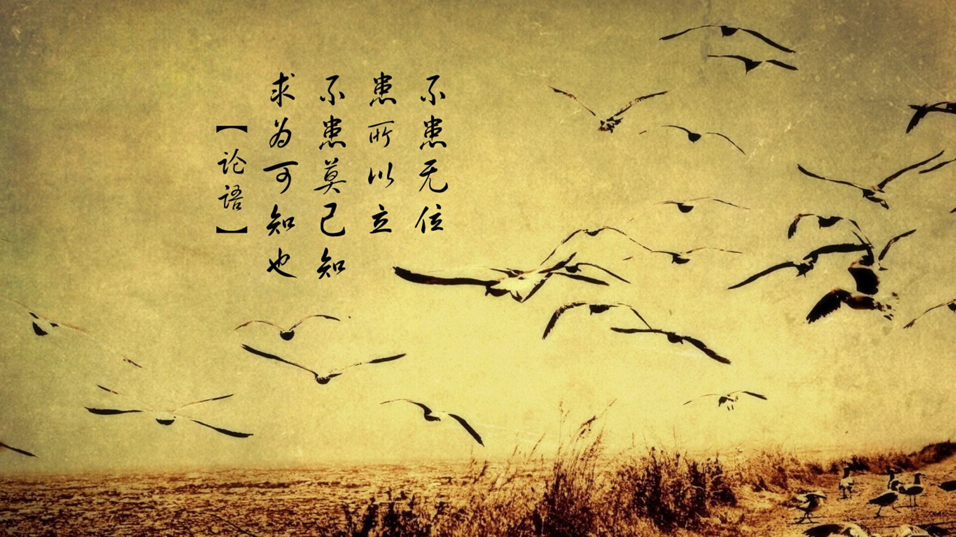 开云体育在线-当太极虎吞噬非洲黑星，B组终极绞杀，孙兴慜以独一性封神