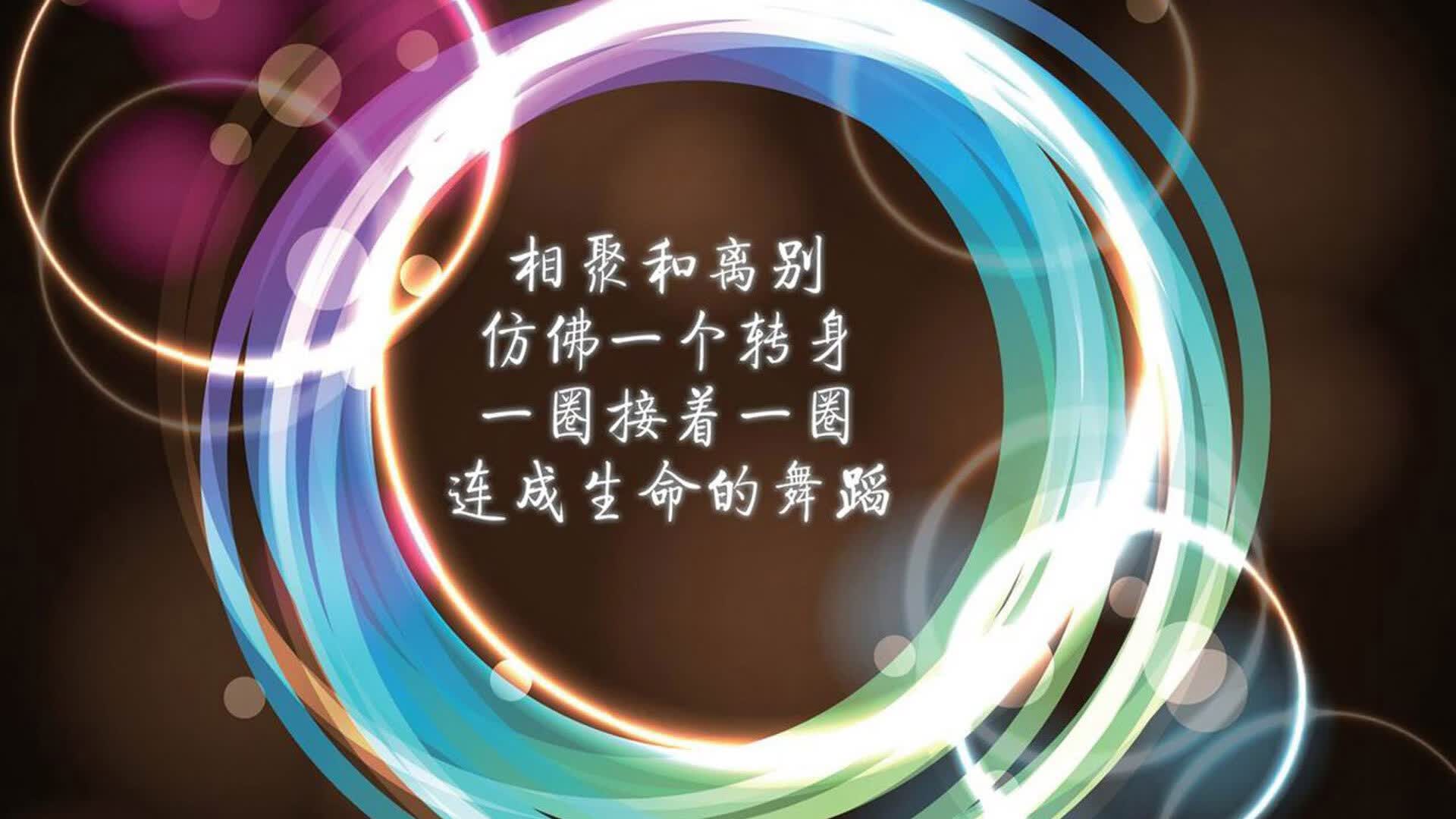 南太平洋风暴绝杀安第斯之鹰，法兰西闪电刺破南美坚盾，2026世界杯C组上演极致攻防美学